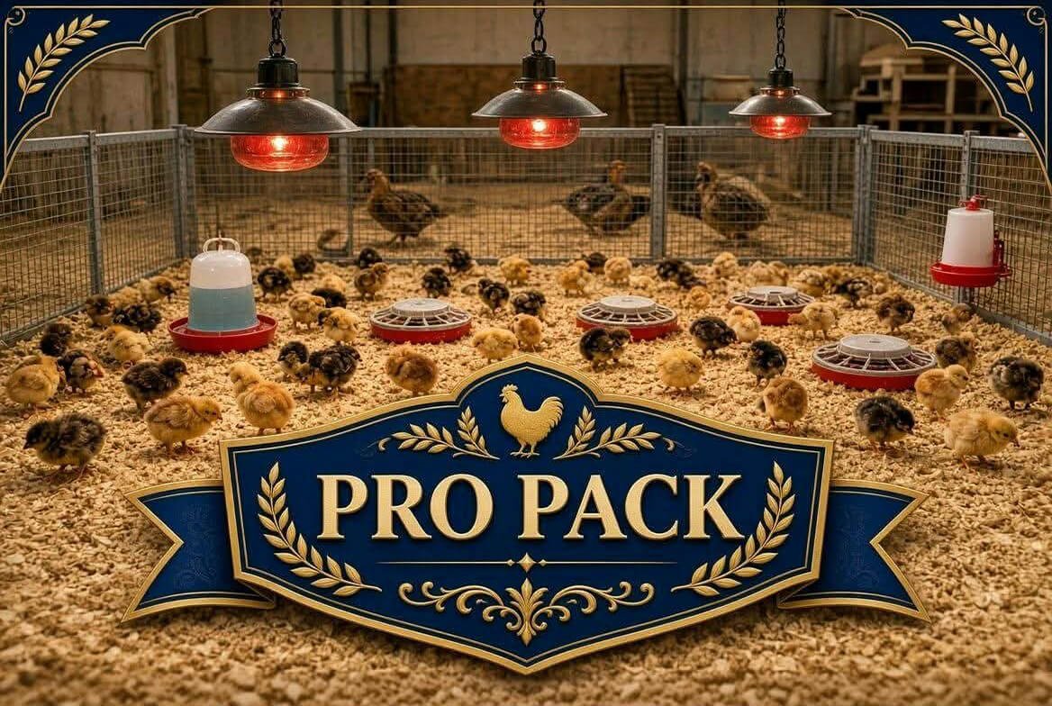 Pro package